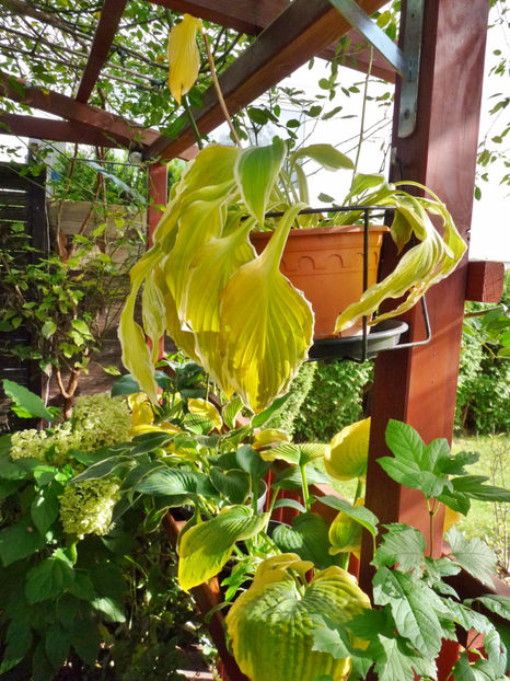  - 2020 - 03 - Toamna