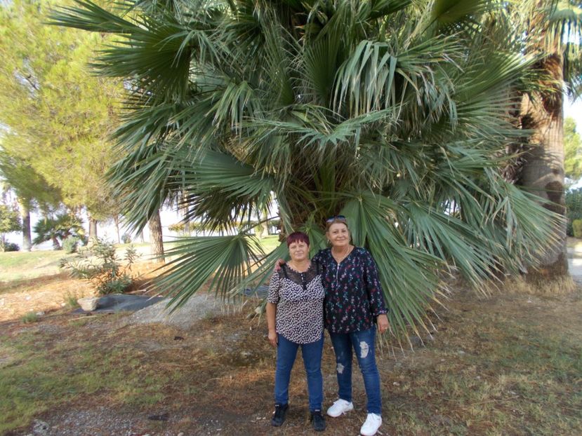  - Vacanta Turcia 2020