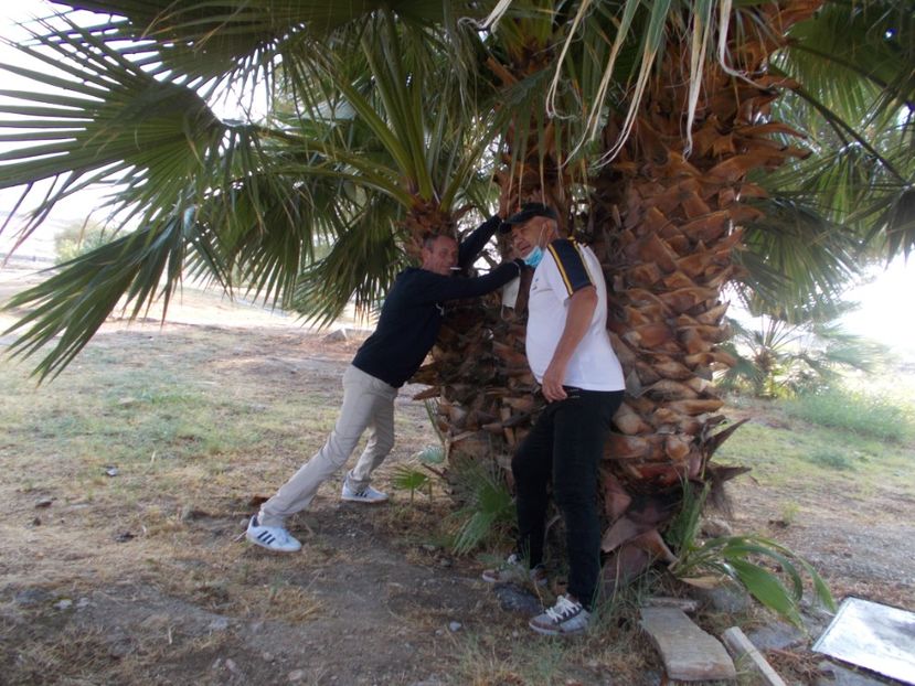  - Vacanta Turcia 2020