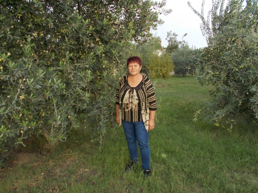  - Vacanta Turcia 2020