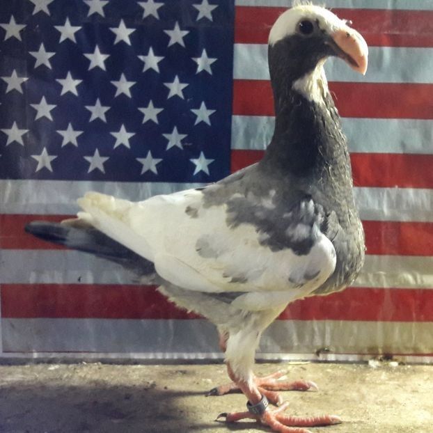  - 3---AGH DAȚI 2019 - 2025