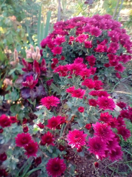 12. tufanica pitica culori tari - w Produse livrate