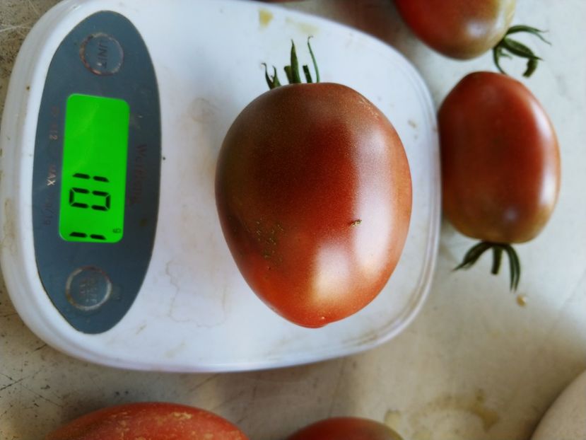 UKRAINEAN PURPLE 05 08 2018 (5) - UKRAINEAN PURPLE