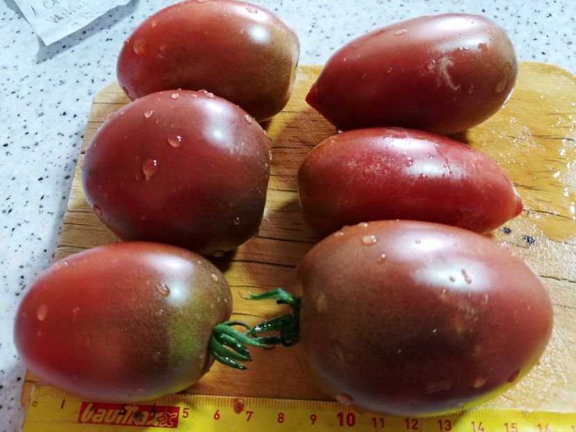 UKRAINEAN PURPLE 05.08 (9) - UKRAINEAN PURPLE