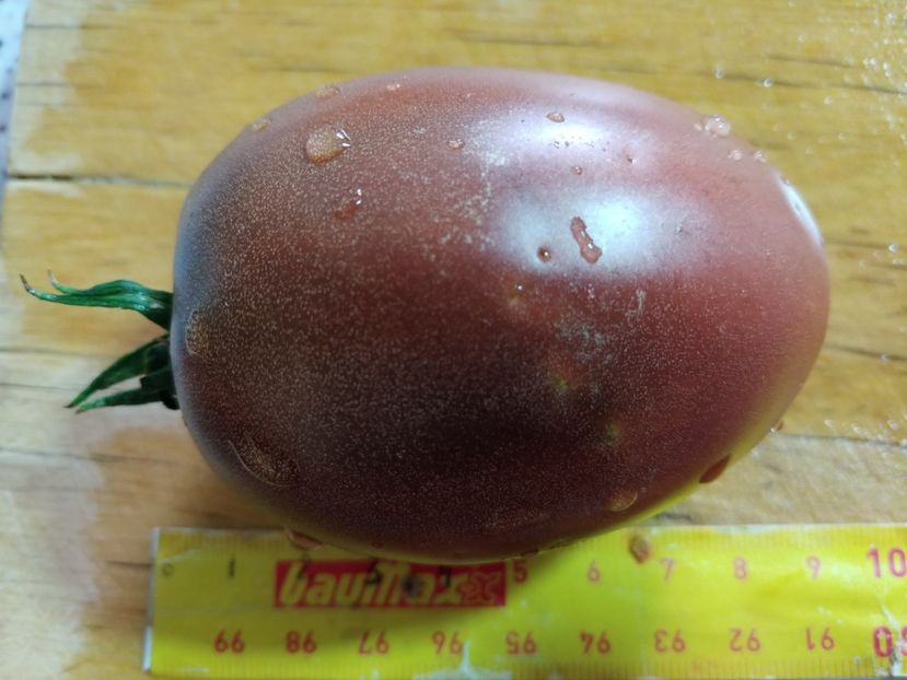 UKRAINEAN PURPLE 05.08 (13) - UKRAINEAN PURPLE