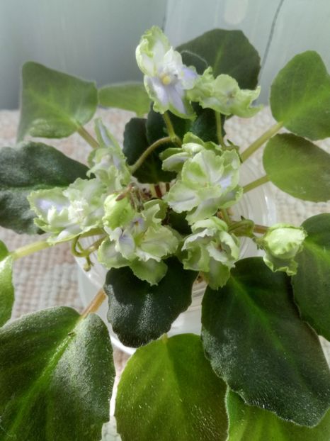 16 oct - LE Bucket Nezabudok