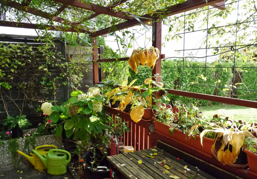 25. Octombrie - 2020 - 03 - Toamna