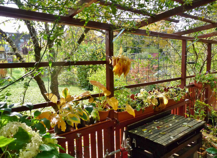  - 2020 - 03 - Toamna