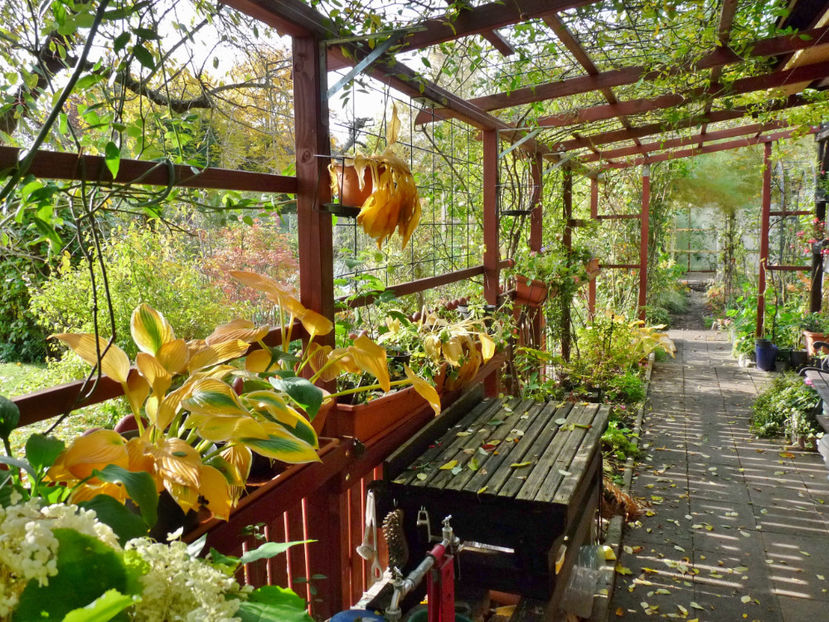  - 2020 - 03 - Toamna