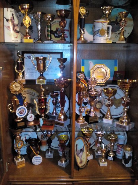 Poze eu 001 - 01 Contact