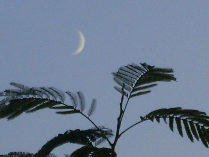 Luna noua in Sagetator - Luna - Soarele si norii - 2