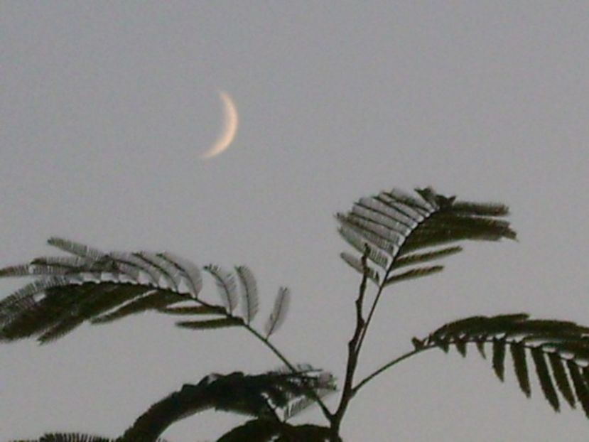 Luna noua in Sagetator - Luna - Soarele si norii - 2