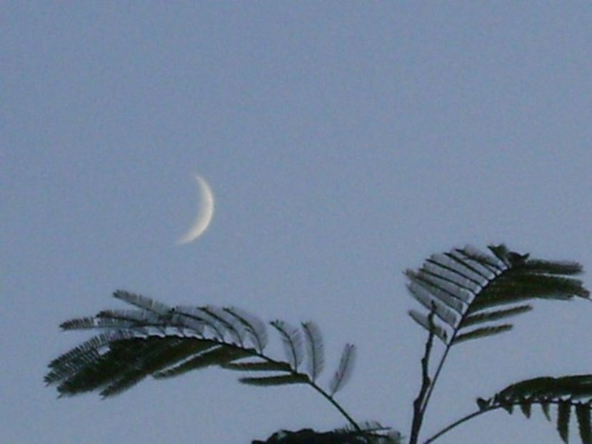 Luna noua in Sagetator - Luna - Soarele si norii - 2
