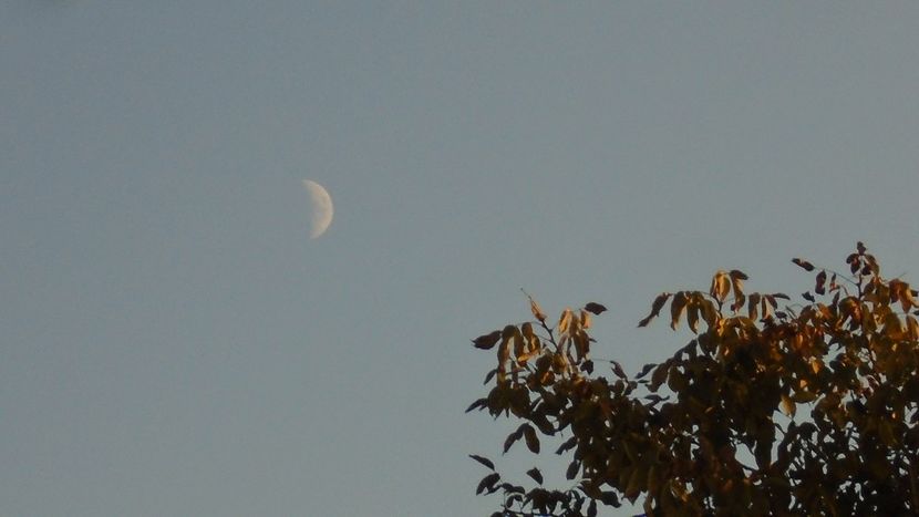 Luna in crestere in Capricorn - Luna - Soarele si norii - 2