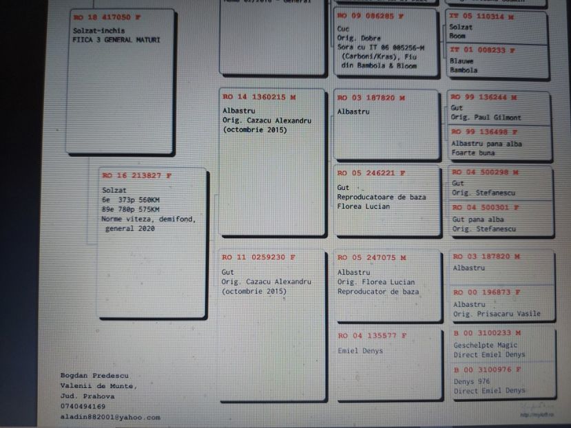 Pedigreu 417050 - general - linie mama - VANDUTI 2018-2019-2020