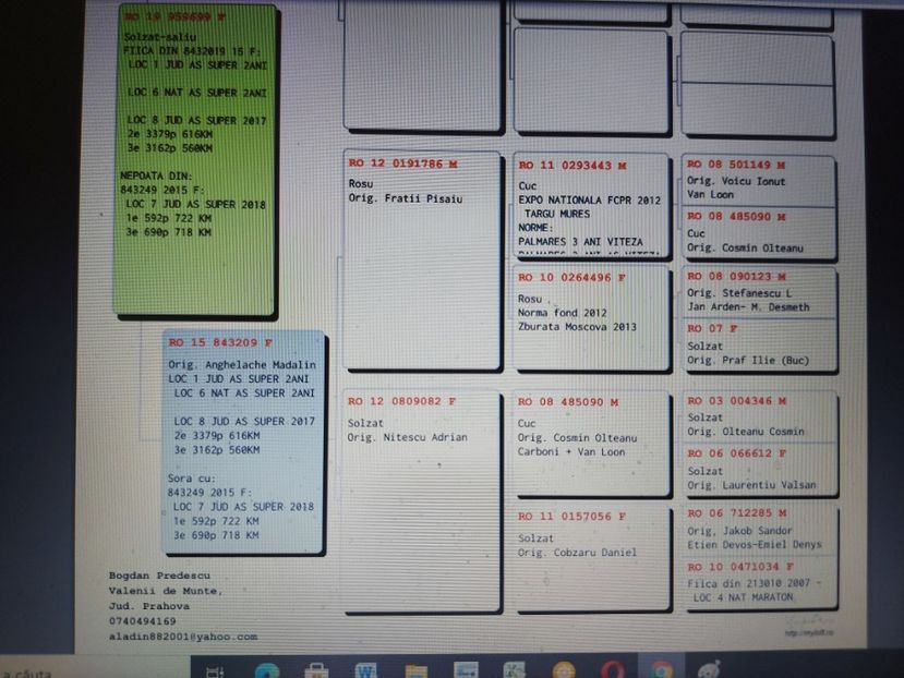VANDUTA - PEDIGREU 699 19 - FIICA 1 JUD SUPER AS 2 ANI - LINIE MAMA - VANDUTI 2018-2019-2020