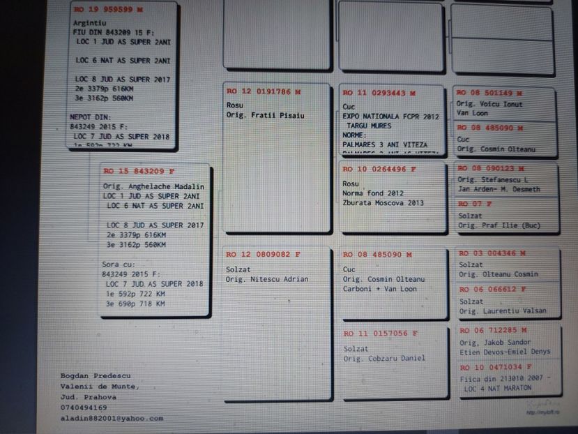 VANDUT - Pedigreu 599 19 M - FIU 1 JUD SUPER AS 2 ANI - LINIE MAMA - VANDUTI 2018-2019-2020
