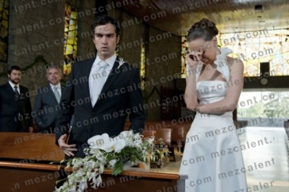 watermarkjm - Cameleonii