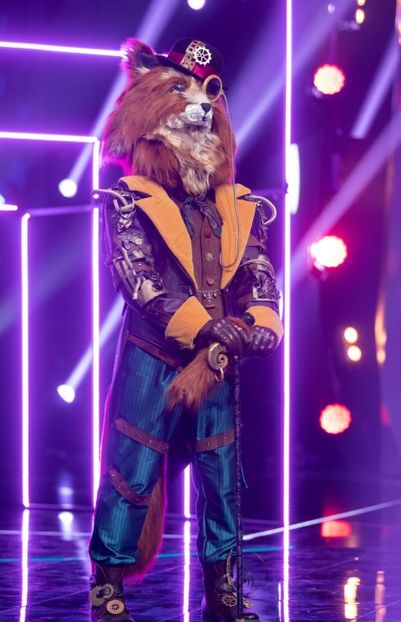 Masked Singer - Masked Singer 2020-Prezent