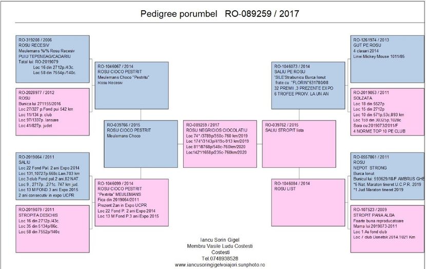 Screenshot 2020-09-29 155342 - 1 CONTACT