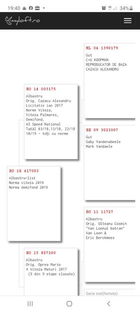 Pedigreu 417003-18-F - norme viteza si demifond - VANDUTI 2018-2019-2020