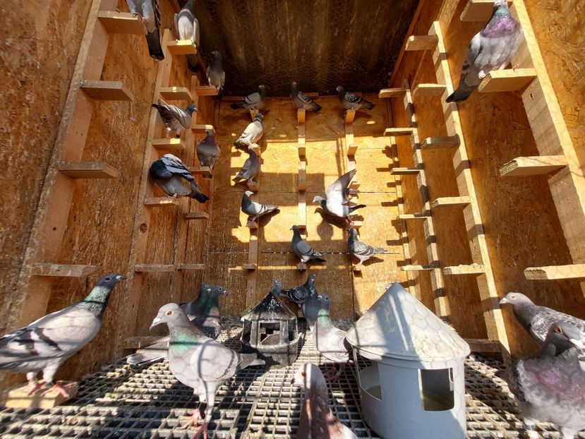  - VANDUTI 2018-2019-2020