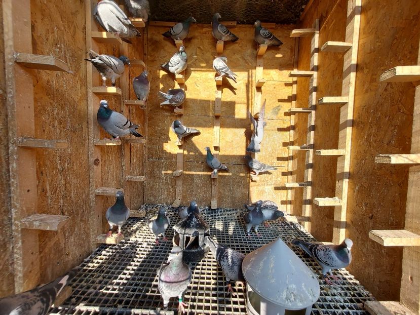  - VANDUTI 2018-2019-2020