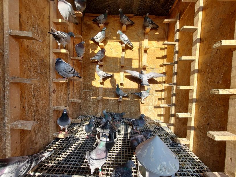  - VANDUTI 2018-2019-2020