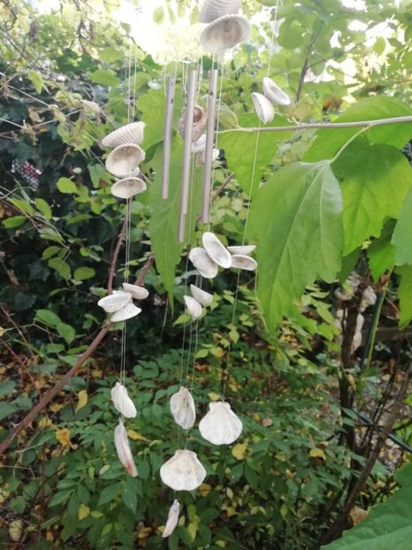  - Grădina 2020 continuare 2