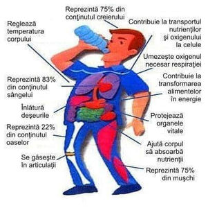  - Sfaturi Utile