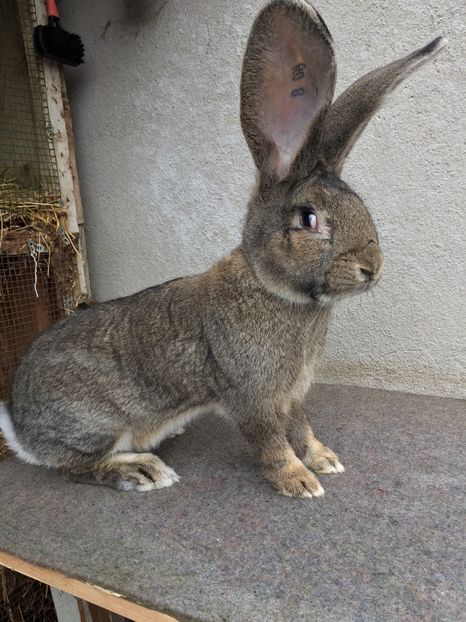 7FF028AA-FDFE-4A8B-82BC-A6FC4B9BD2A4 - RO 8-3060