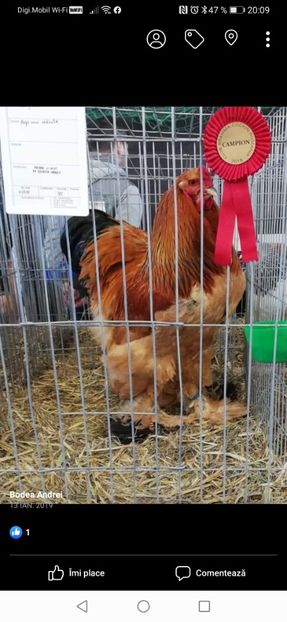 Screenshot_20201026_200918_com.facebook.katana - 01-CONTACT