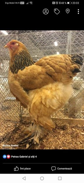 Screenshot_20201026_200348_com.facebook.katana - 01-CONTACT