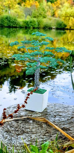  - POMISORI Feng shui - de vanzare