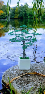  - POMISORI Feng shui - de vanzare