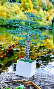  - POMISORI Feng shui - de vanzare