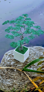  - POMISORI Feng shui - de vanzare