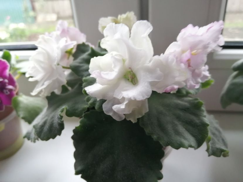  - Le Chateau Margaux