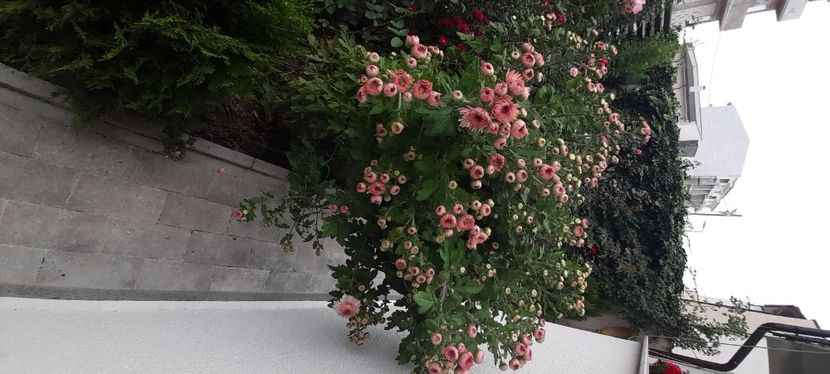 IMG-20201030-WA0024 - 2020