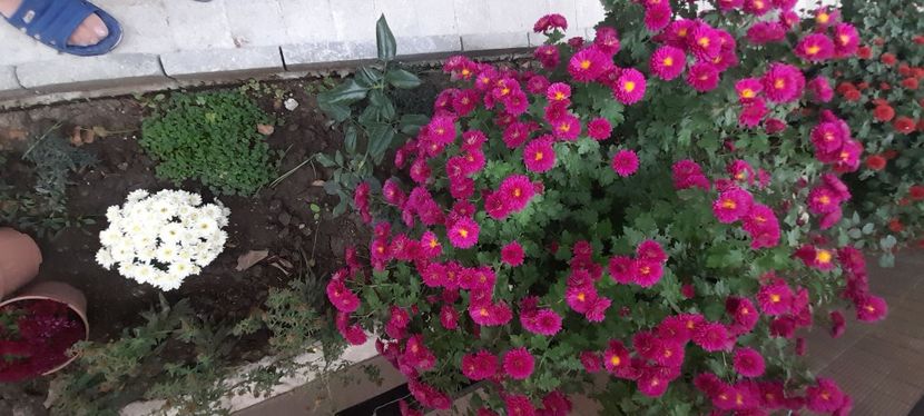 IMG-20201030-WA0026 - 2020