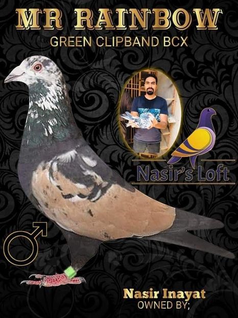  - NU AMI APARTIN 2020