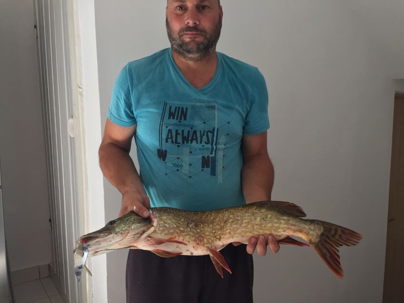 2E75B75E-155D-4898-9AEB-105EFC52E574 - 11SPINNING LA STIUCA