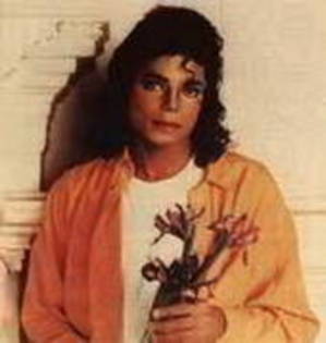 11357390_WBUMDRRHC - poze mj