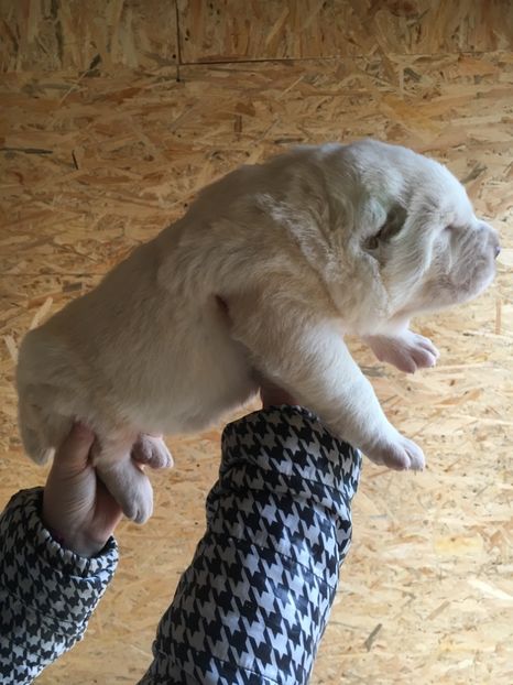 5C26177A-ED22-4747-AD78-DAF4875D5083 - Masha