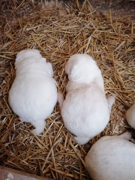 D48D72B6-C294-4AC6-B6F3-BFFD0B8B7FF8 - Masha