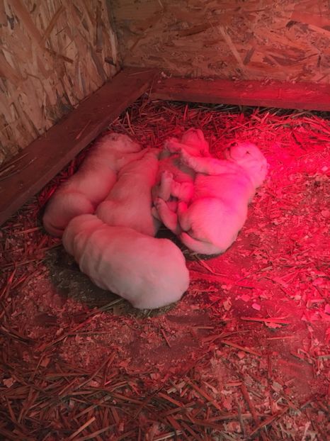 FB2A8912-0EB3-476A-9404-748E270B7393 - Masha