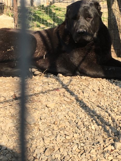 95CCB2CA-FD80-4160-BF51-21293FF6A3F9 - Afeona