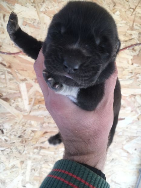 E5621DFA-A72E-429E-9FAF-4B8F445A62AD - Afeona