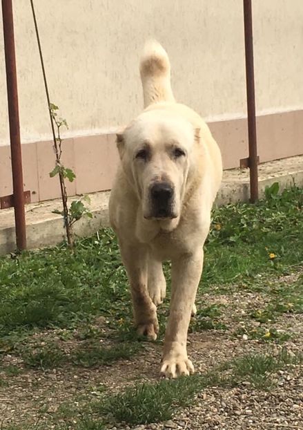 A874FF08-4178-481F-ABB9-90B4E9432F18 - Mathias