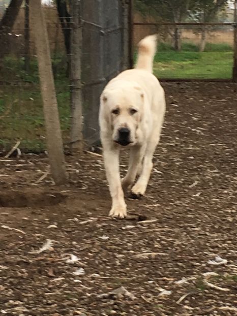 372972C3-4690-4E90-B9DF-E2D153DBD4DB - Mathias